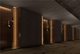 毫州時(shí)尚藝術(shù)酒店設(shè)計(jì)公司 毫州專(zhuān)業(yè)時(shí)尚藝術(shù)酒店裝修公司 時(shí)尚藝術(shù)酒店設(shè)計(jì)收費(fèi)標(biāo)準(zhǔn)